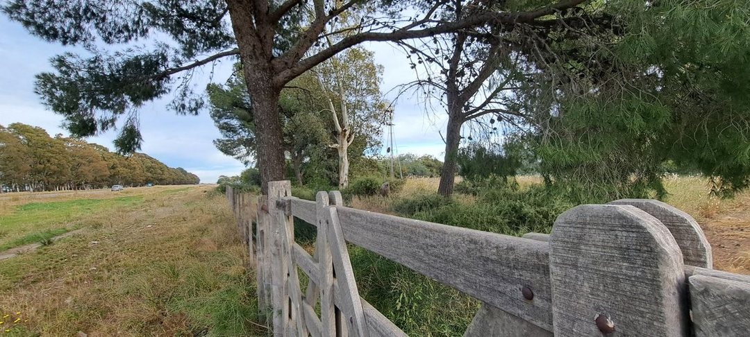 VENTA HECTARES  MEDANOS SOBRE  LA RUTA 22