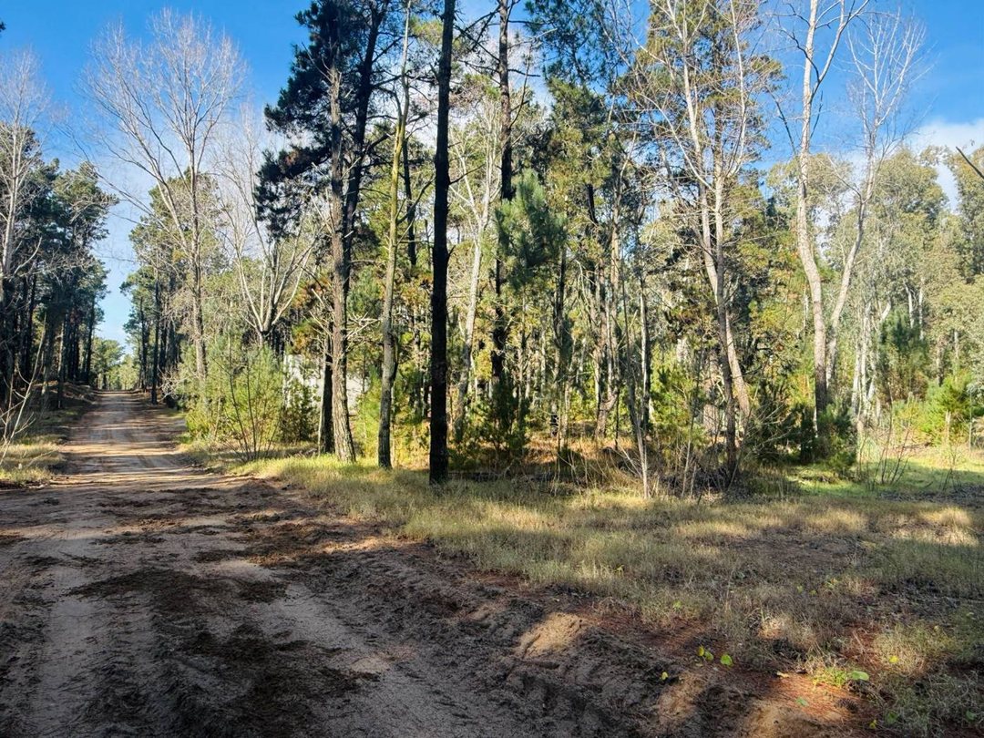 LOTE 426 VENTA EN VILLA ROBLE SERENA