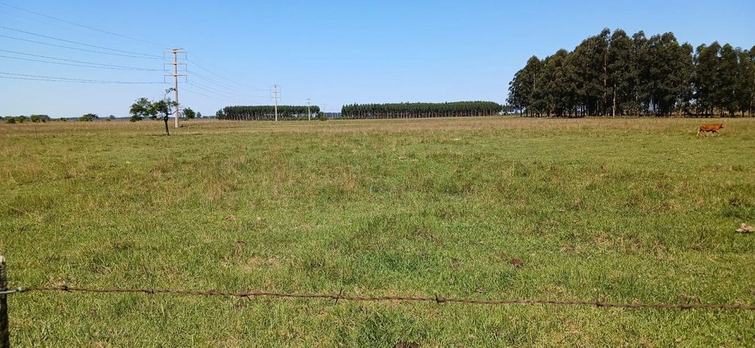 LOTE EN VENTA - COLONIA PORVENIR