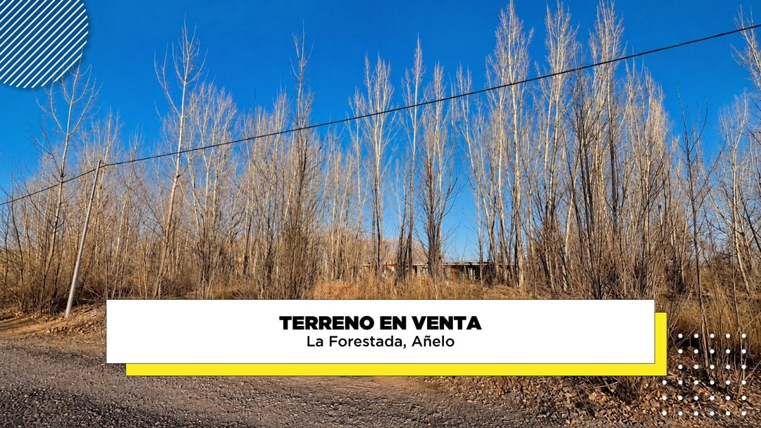 Terreno en venta La Forestada, Añelo