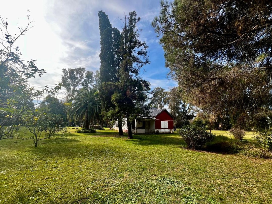 VENTA QUINTA 8066M2 EL PAT0 ARBOLEDA HISTORICA