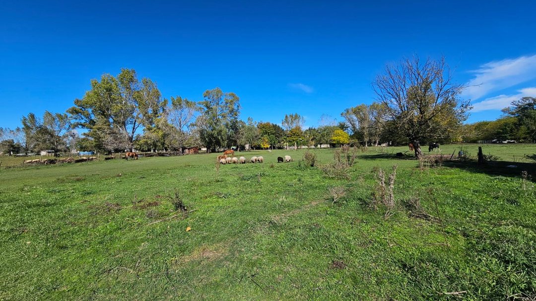 VENTA LOTE TERRENO DE 2000M2 URIBELARREA