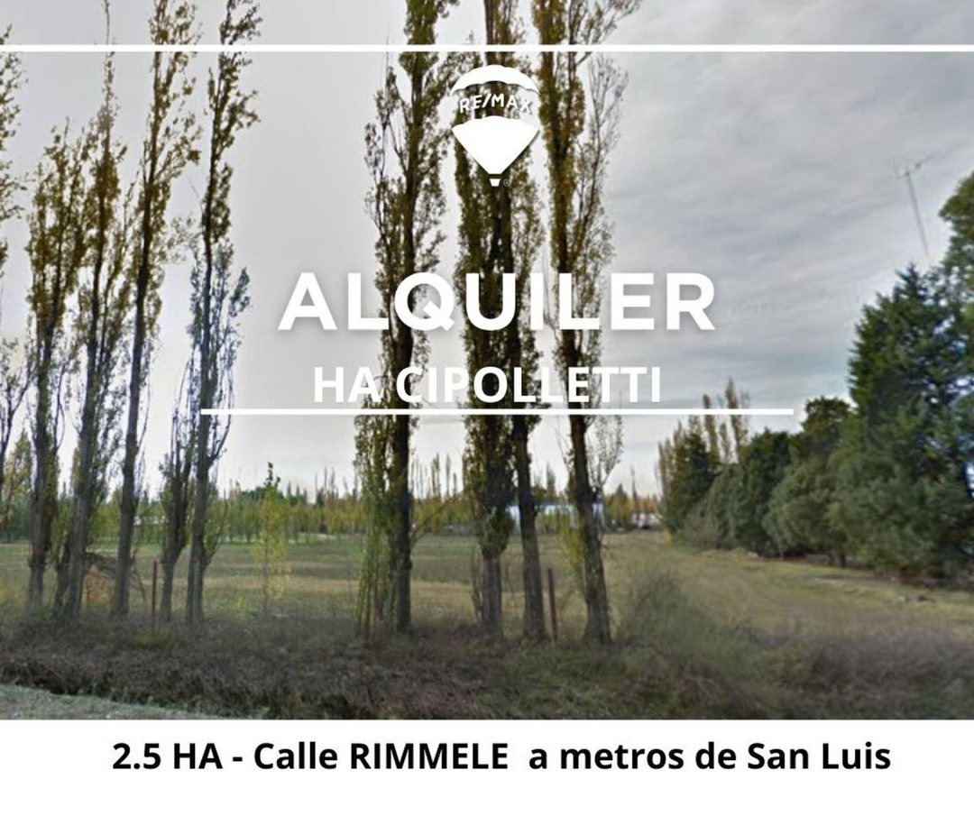 ALQUILER HECTAREA CIPOLLETTI