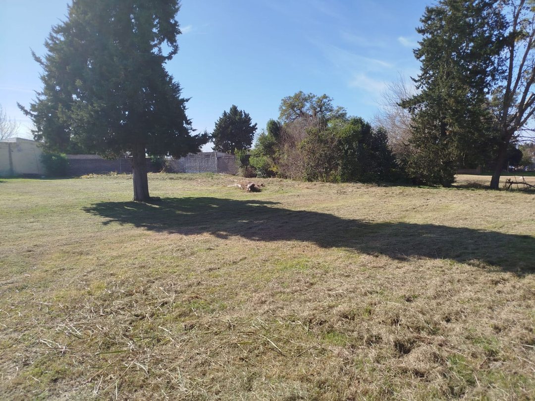 Terreno 900 m2 en zona de quintas, C Avellaneda