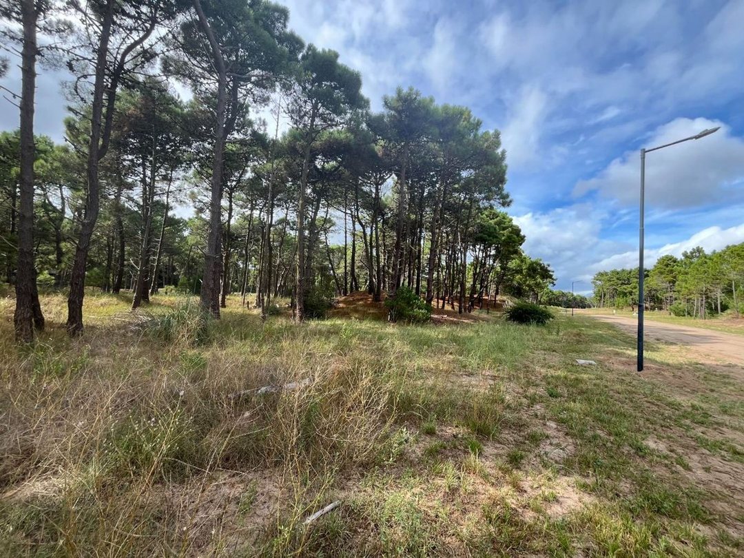 VENTA DE LOTE EN PINAMAR. BARRIO BOSQUES ETAPA 1