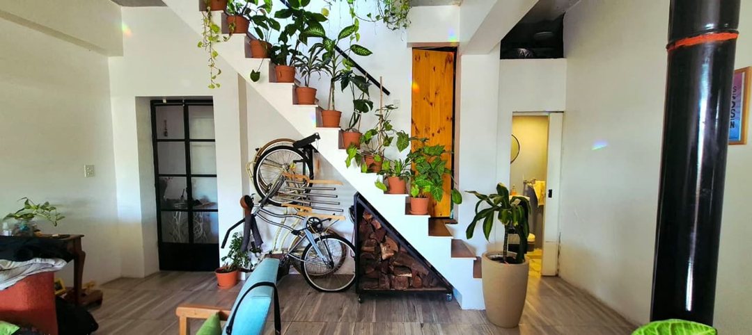 CÁLIDO PH, CON ALMA BOHO E IMPRONTA URBAN JUNGLE