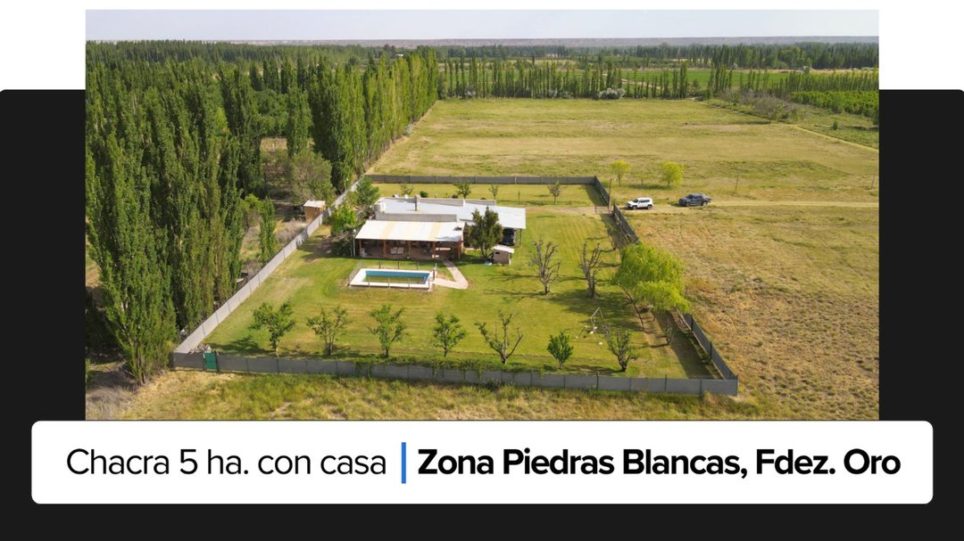 Casa quinta 5 hectareas en venta - Fernández Oro
