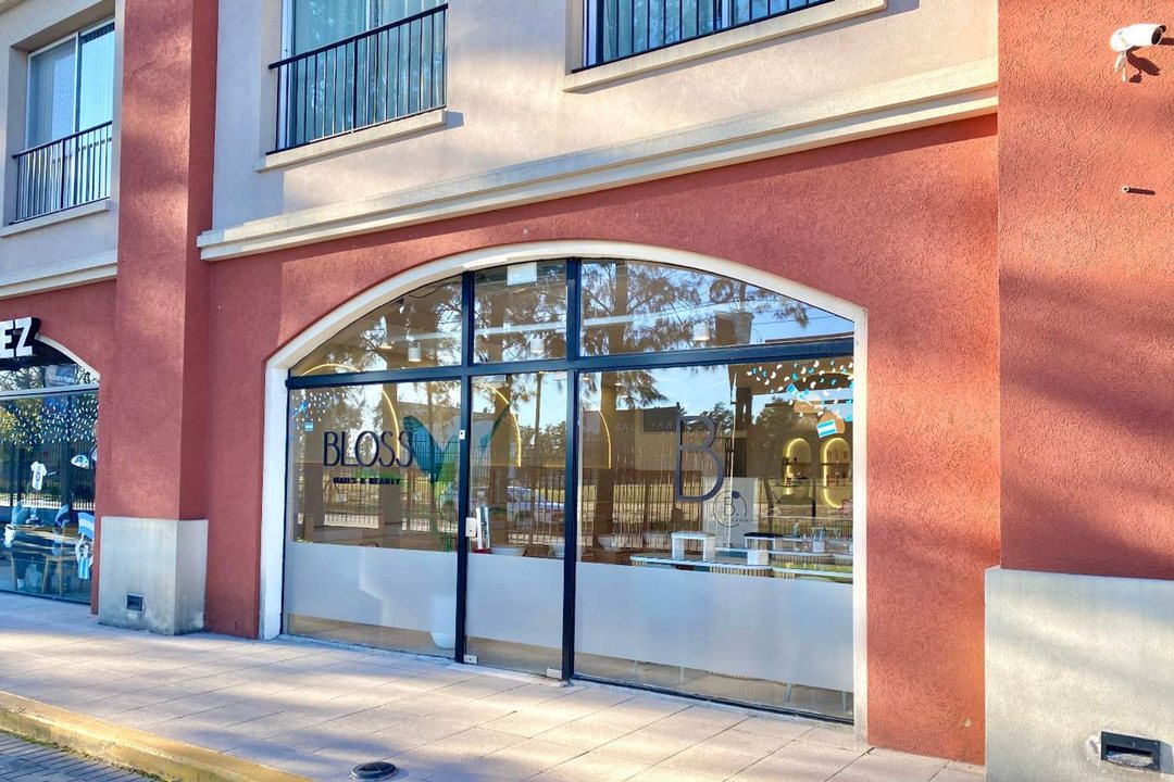 Venta Local Comercial con Renta en Pueblo Caamaño