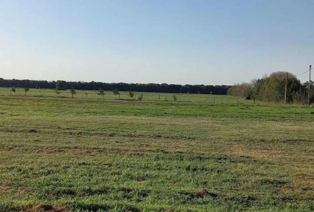 VENTA TERRENO - Lote II - Pujato Norte.-