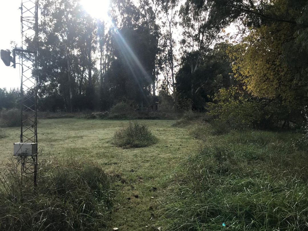 TERRENOS EN VENTA PUNTA INDIO