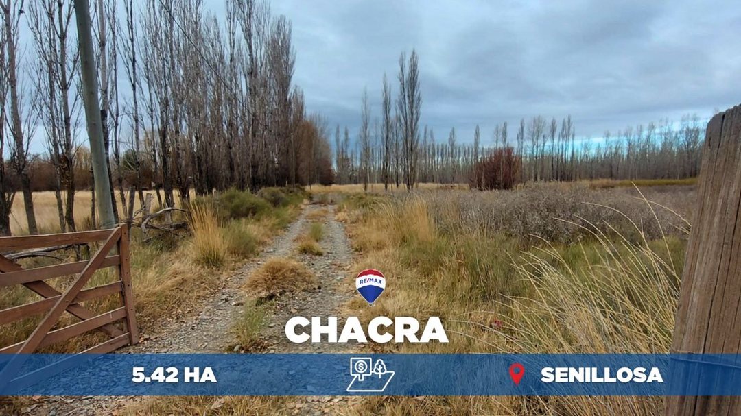 VENTA CHACRA 5,42 HA - SENILLOSA