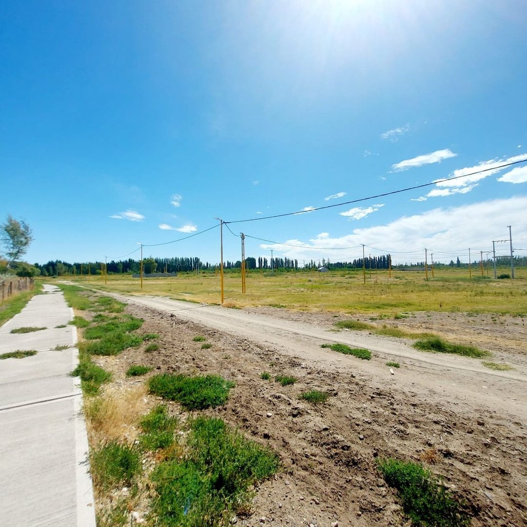TERRENO EN VENTA EN LA RUFINA I EN CERVANTES