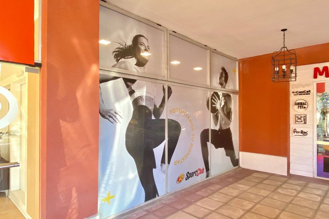 Venta Local Comercial con Renta en Pueblo Caamaño