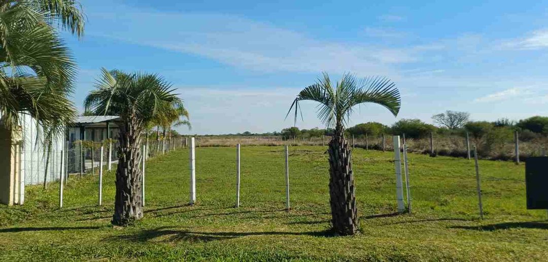 TERRENO EN VENTA, SOBRE RUTA 27, GOYA CORRIENTES