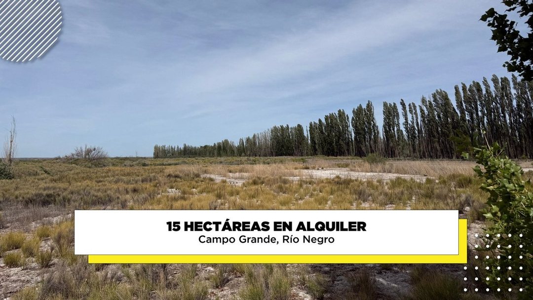 Alquiler de 15 hectáreas Campo Grande, Rio Negro