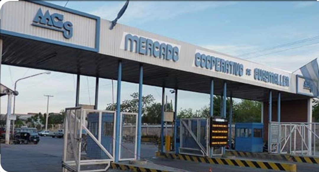 Venta puesto Mercado Cooperativo Guaymallen