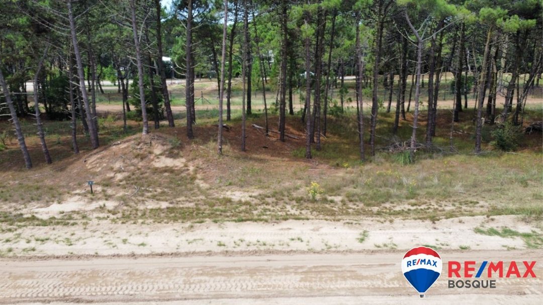 Venta Lote Pinamar Bosques