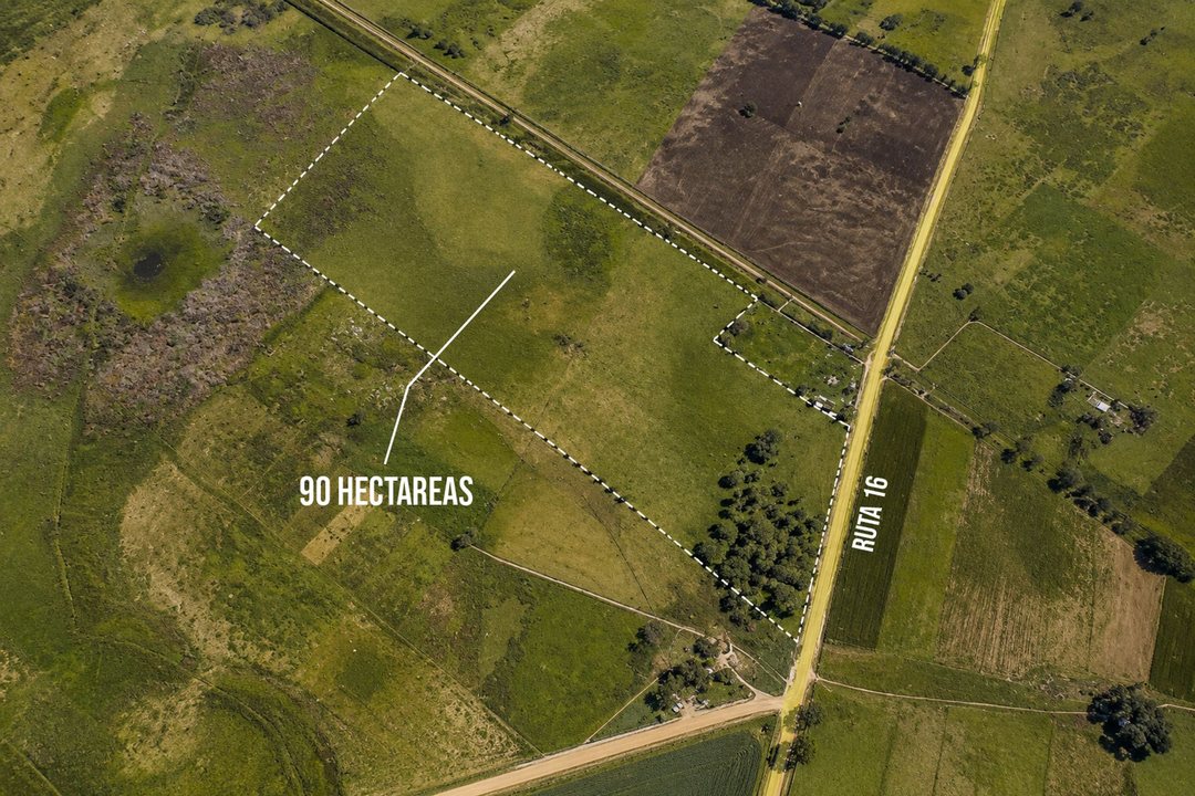 CAMPO GANADERO EN VENTA CAÑUELAS 90 HECTAREAS