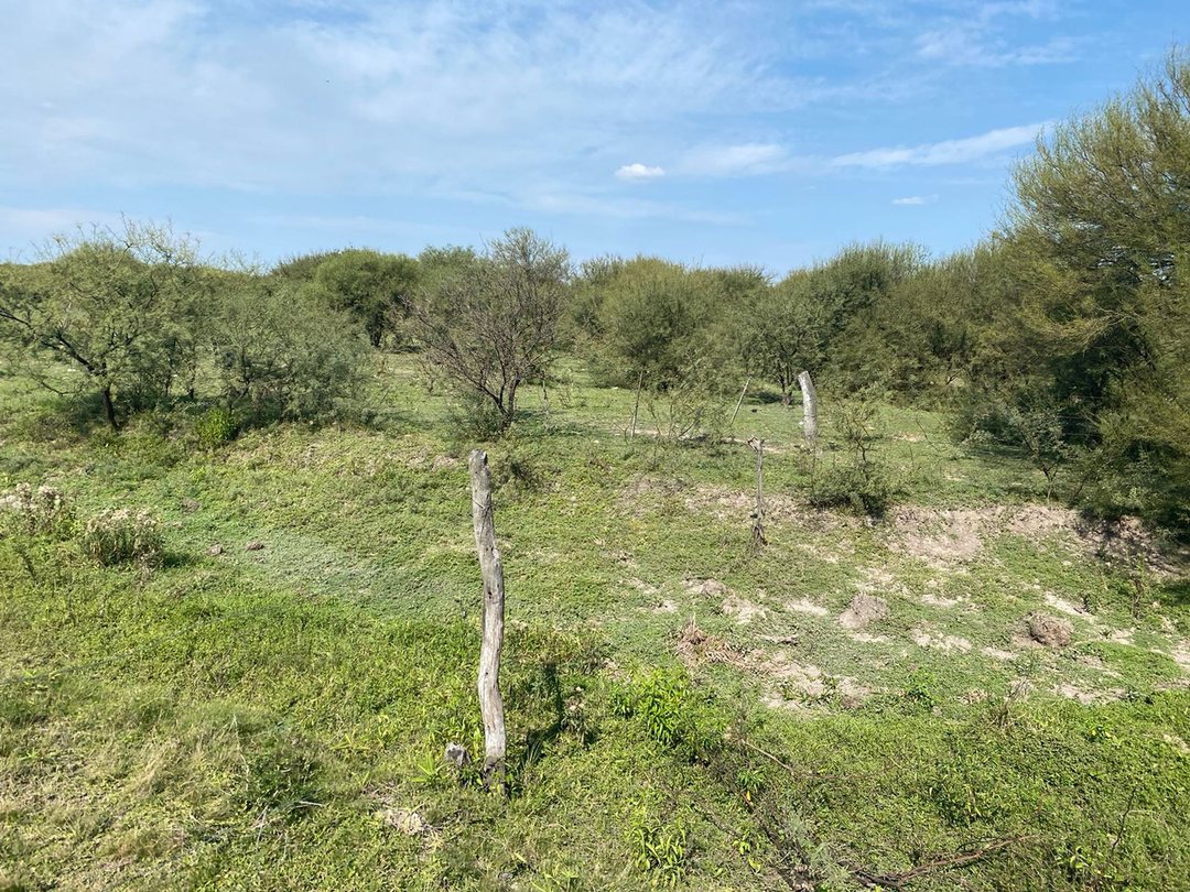 Campo ganadero en Fortín Olmos