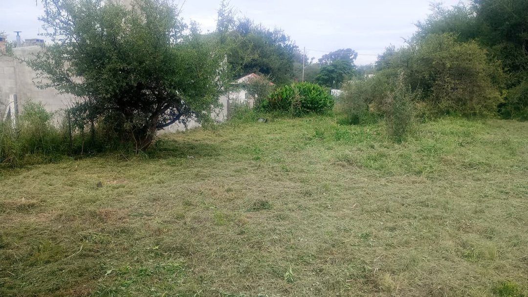LOTE 480 M2 ANISACTE EXCELENTE UBICACION
