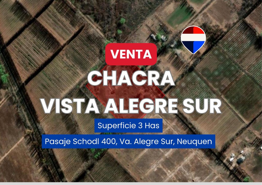 VENTA CHACRA 3 HAS VISTA ALEGRE SUR