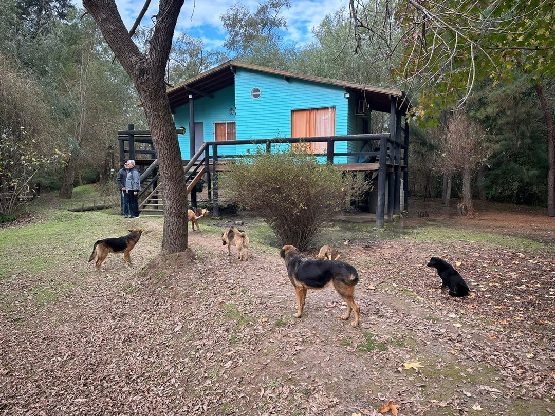 VENTA CASA 2 AMBIENTES RIO CARAPACHAY DELTA TIGRE