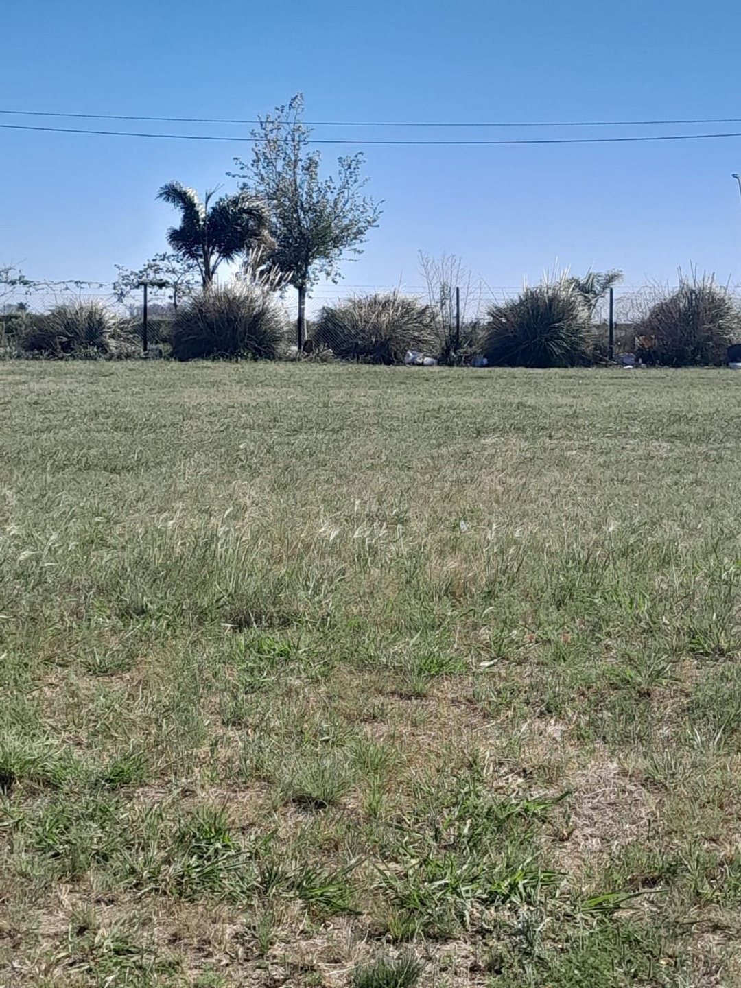 VENTA TERRENO BARRIO PALMARES 4