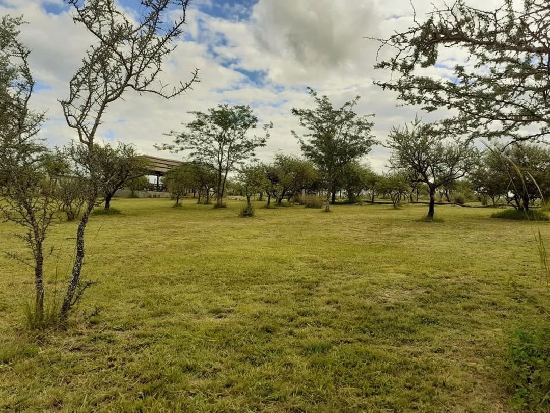 VENTA 3 LOTES EN 1 - BIALET MASSÉ