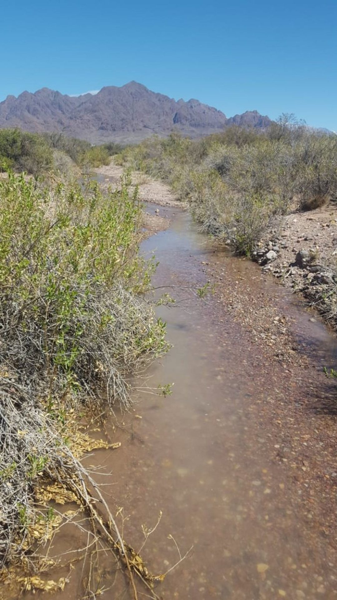 Terreno en venta en Uspallata, Los Tambillos, Mza