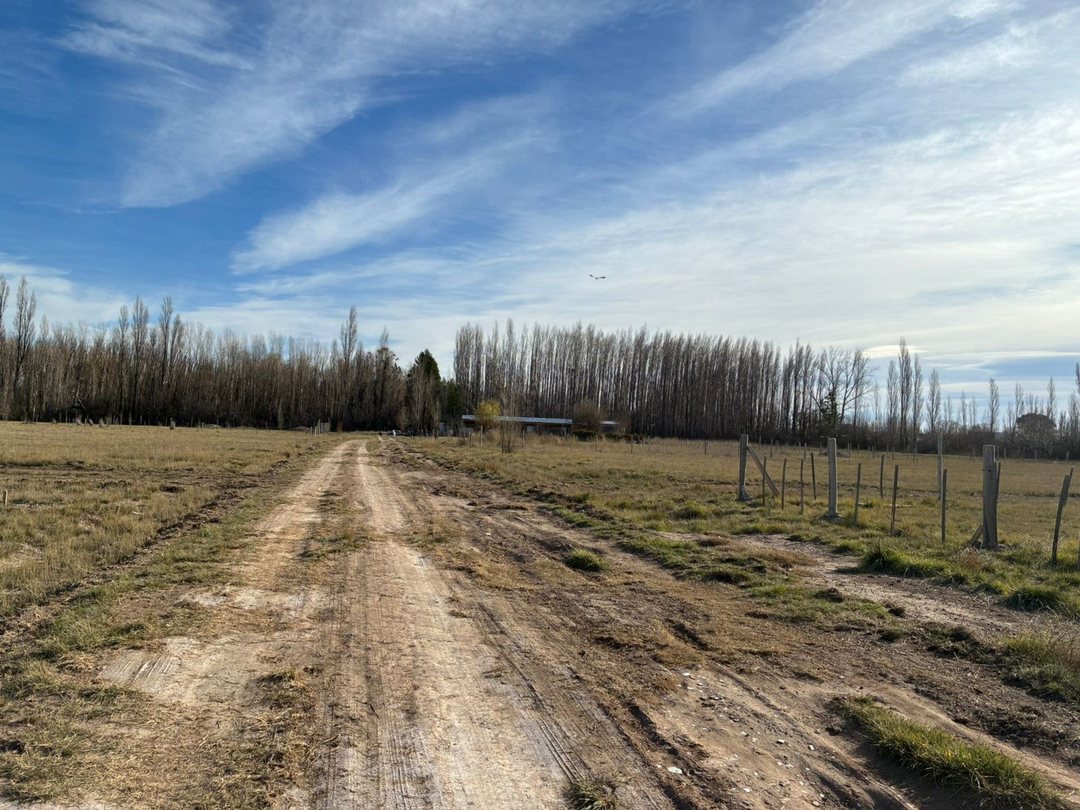 Oportunidad! Lote en Fernández Oro
