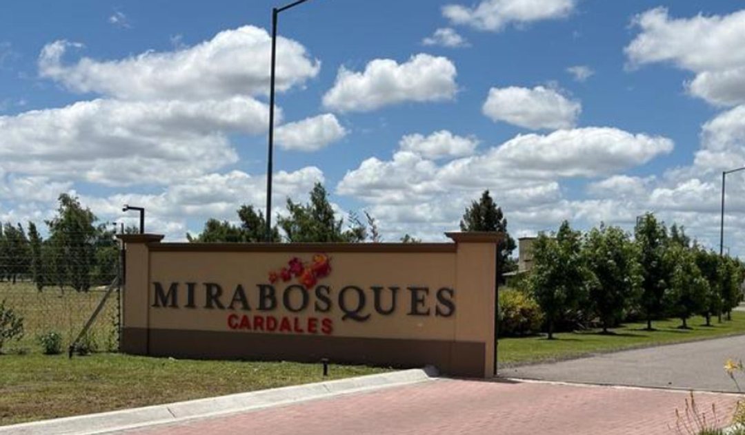 LOTE EN VENTA CARDALES