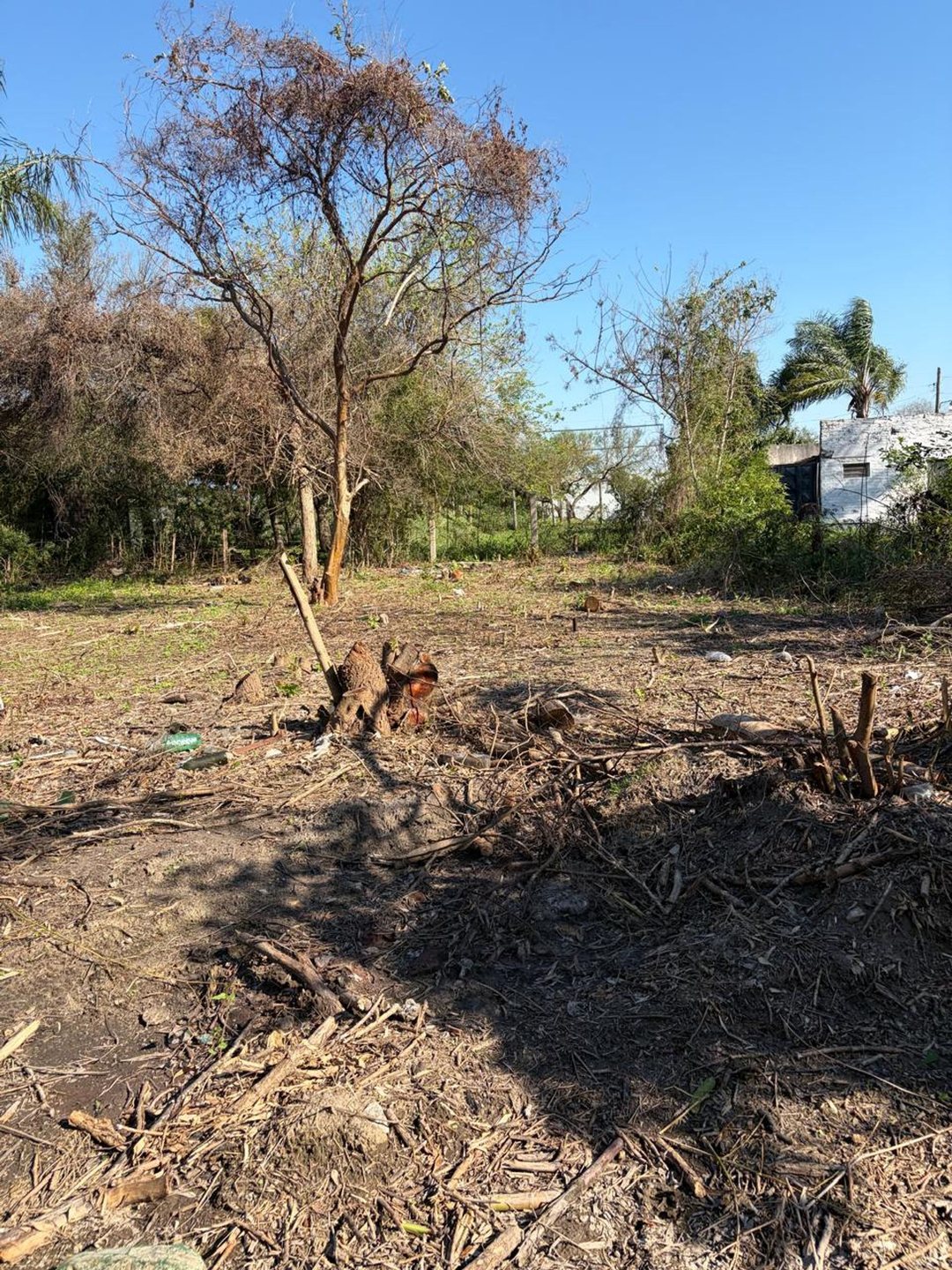 Lote en venta en  Puente de Santa Lucia Goya