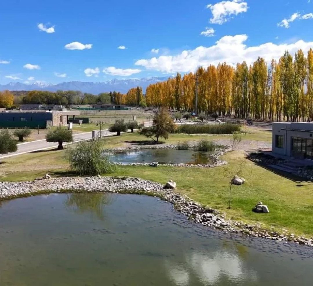 Vendemos lote en Tupungato Valley