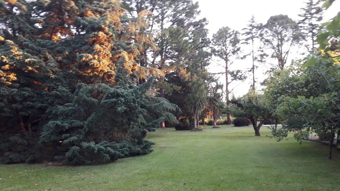 QUINTA EN LA REJA CON 3150 M2 DE PARQUE