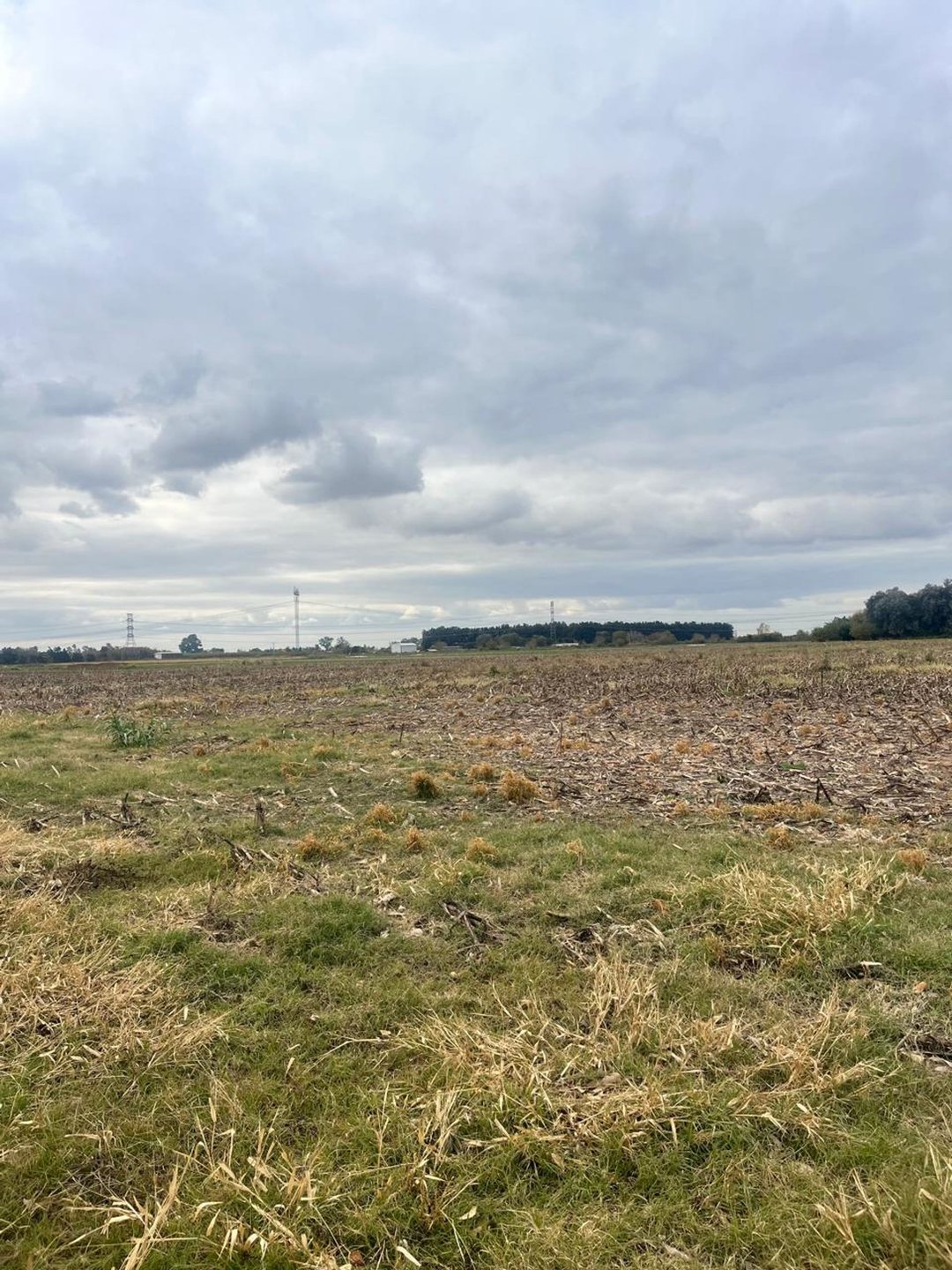 CAMPO 5 HAS EN VENTA EN PEREZ