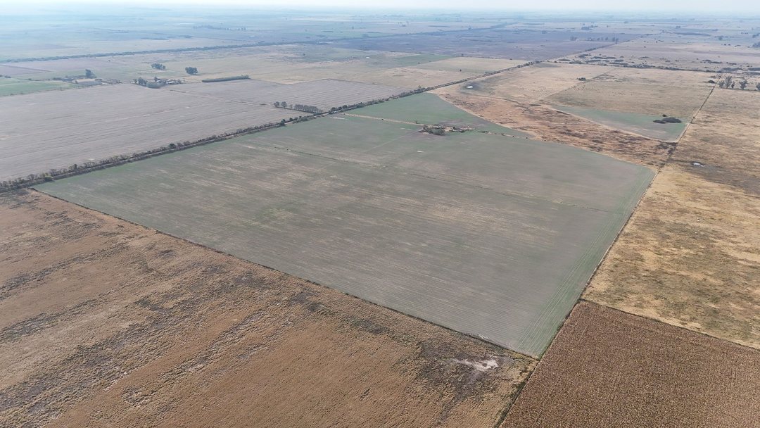 VENTA / CAMPO / BELLA ITALIA