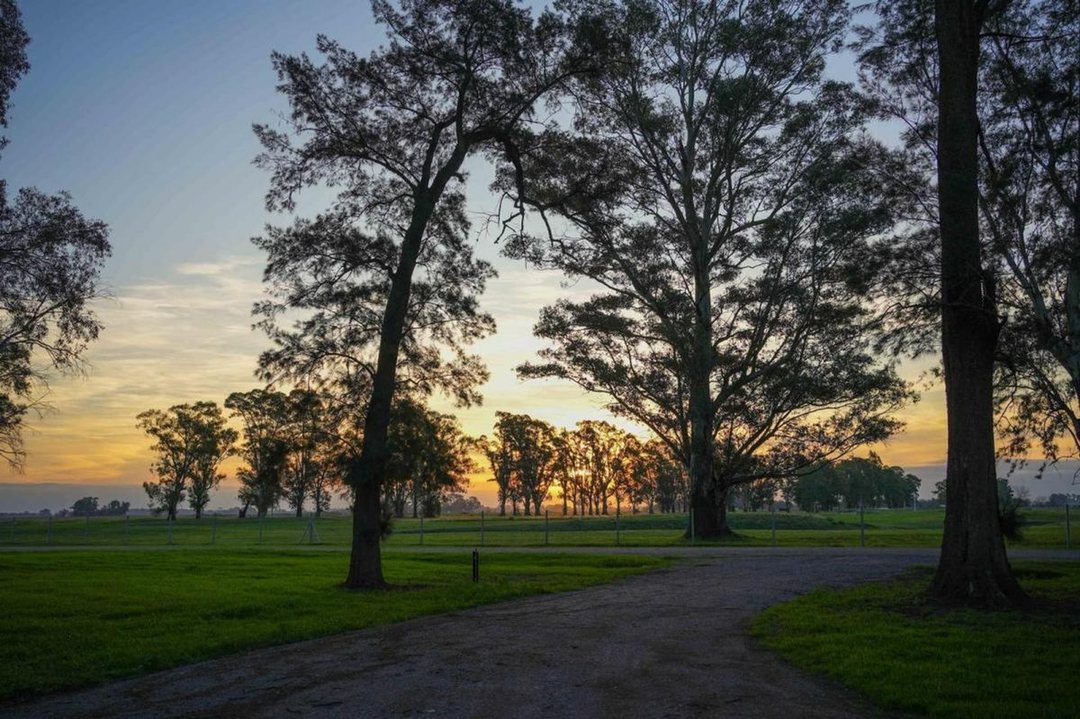 VENTA DE LOTE EN TRES PINOS GENERAL RODRIGUEZ