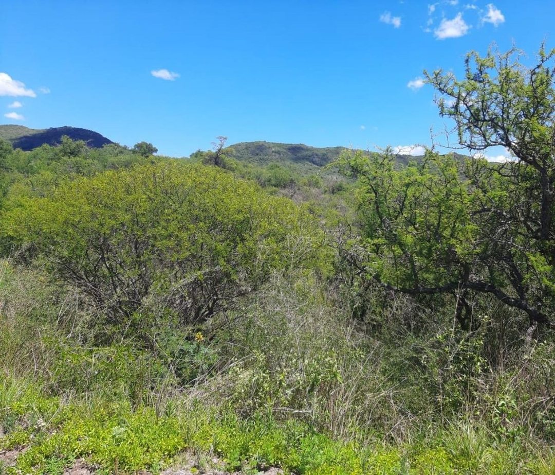 VENTA LOTE 1101 M2 2DA. USINA EMBALSE   ESCRITURA