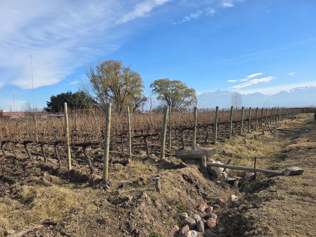FINCA Y COMPLEJO TURÍSTICO EN VENTA EN TUNUYÁN