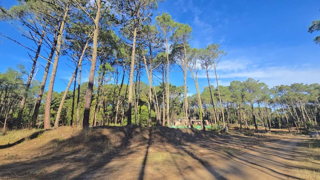 EXCLUSIVO LOTE EN CARILO CON PROYECTO PRE APROBADO