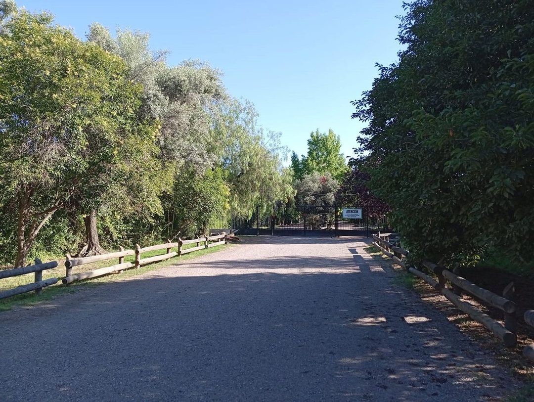 LOTE PUEYRREDÓN Y PARAISO CHACRAS DE CORIA