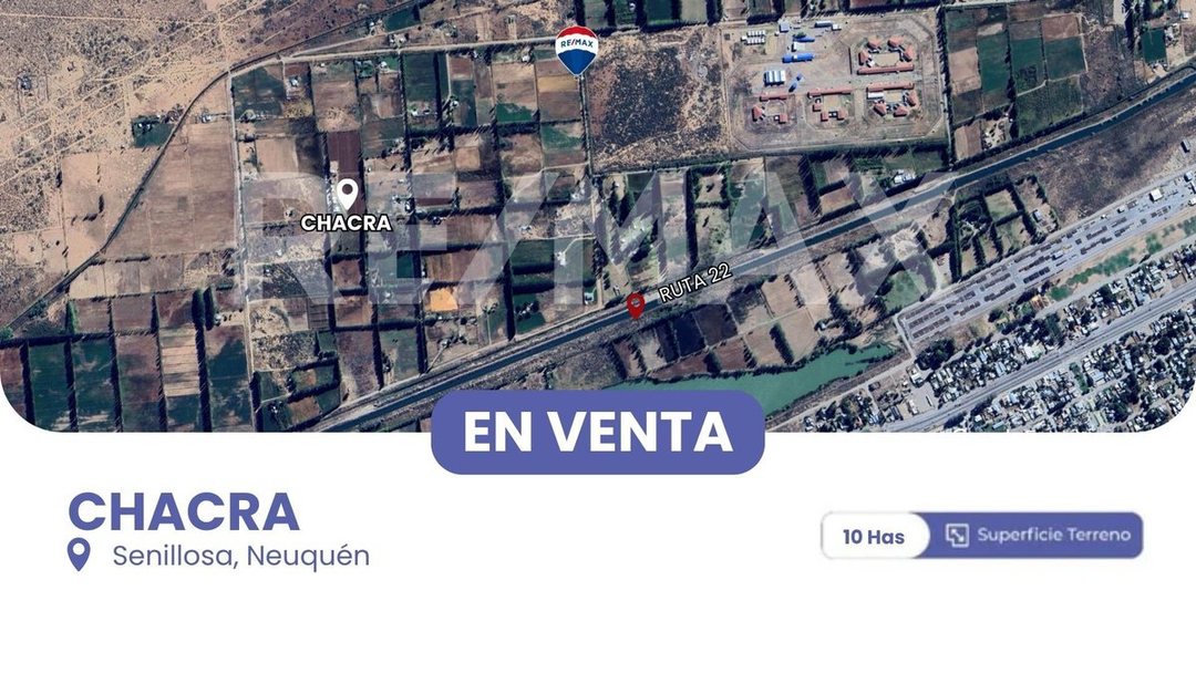 VENTA CHACRA 10 HECTAREAS CON CASA EN SENILLOSA