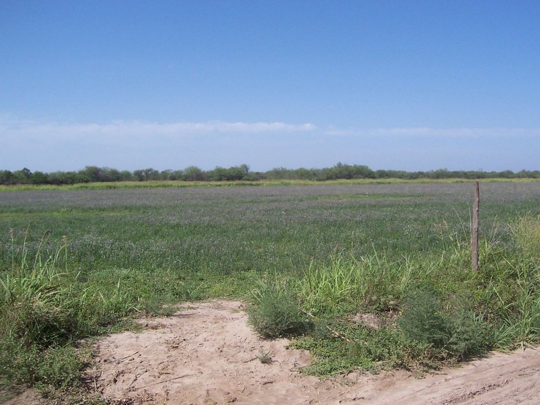 CAMPO APTO GANADERIA Y AGRICULTURA- COLONIA DORA
