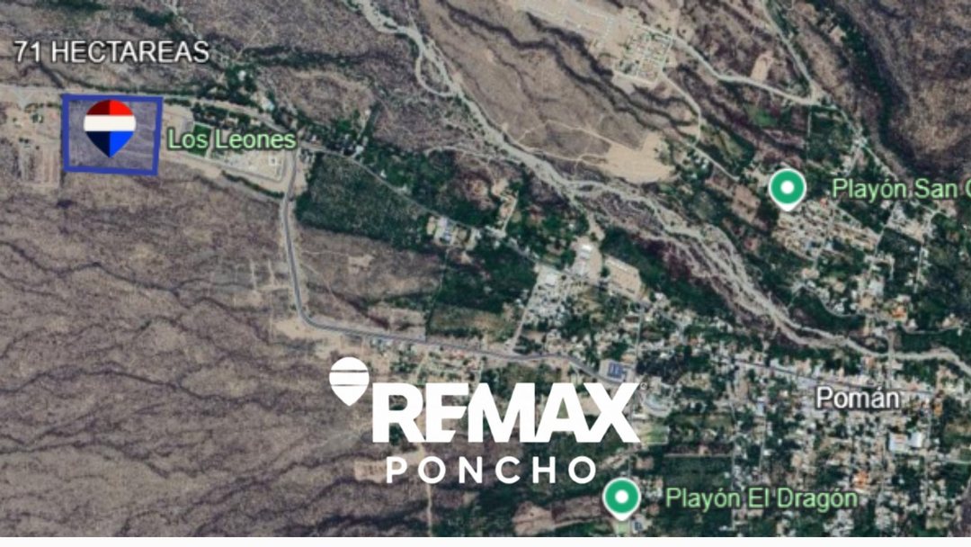 VENTA CAMPO INGRESO A VILLA POMAN RUTA 25