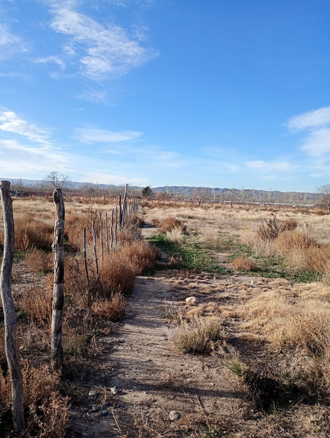 Terreno para Galpon de Empaque y Frutas con Frio