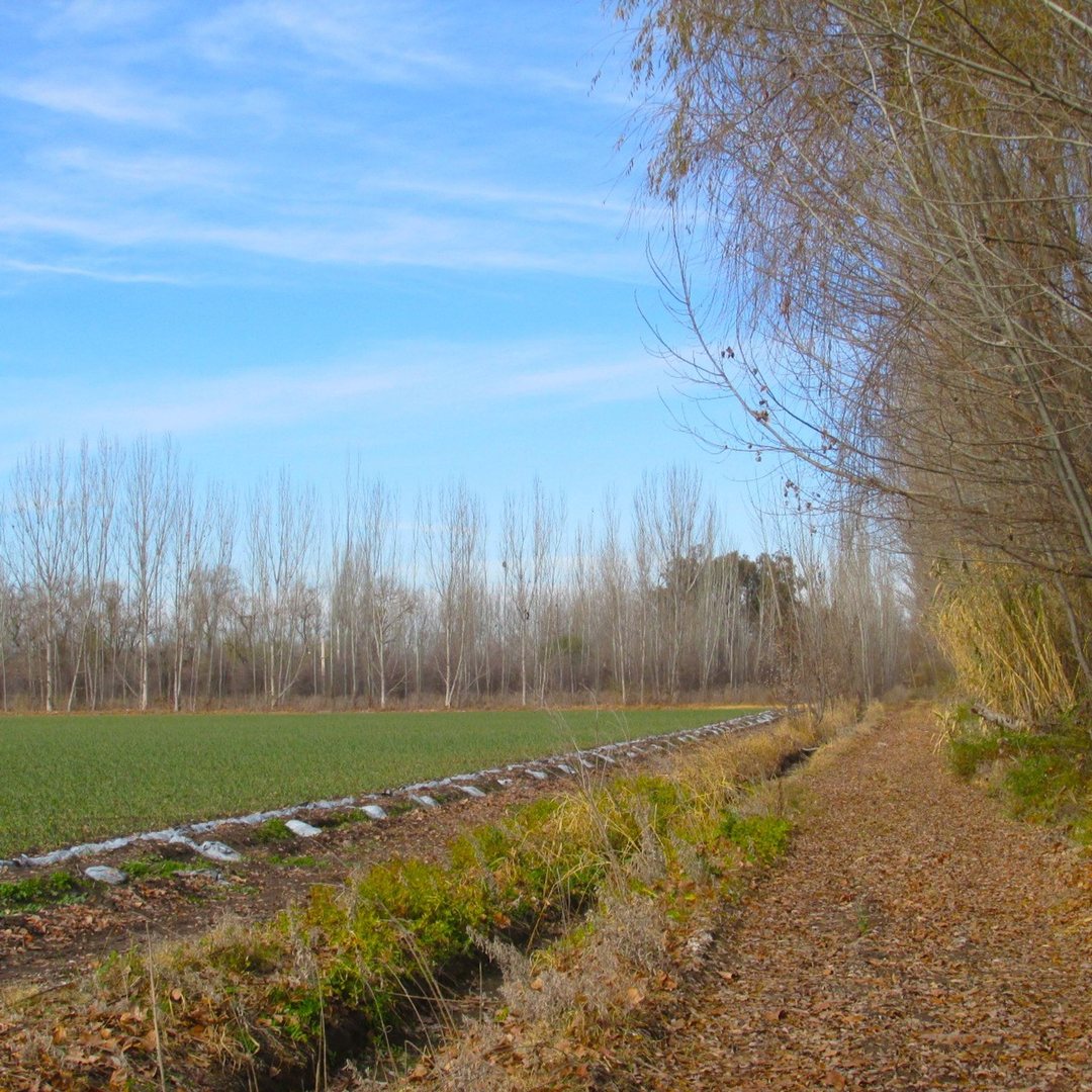 Finca 17 hectreas en Venta en Tunuyán Valle de Uco