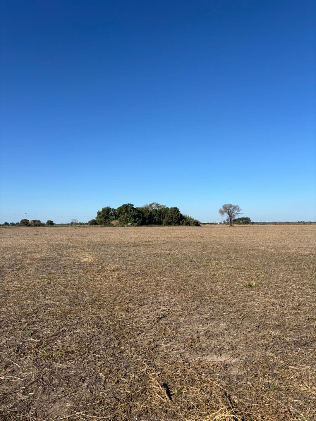 Campo agricola en Empalme San Carlos