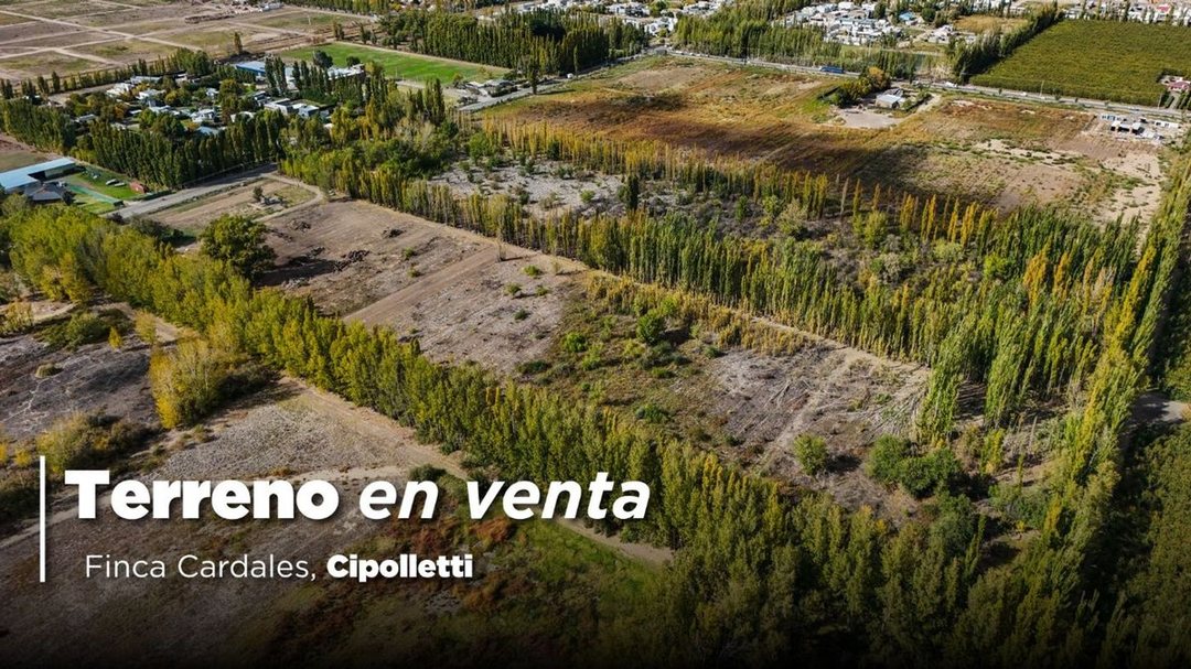 VENTA EXCLUSIVA | FINCA CARDALES | CIPOLLETI