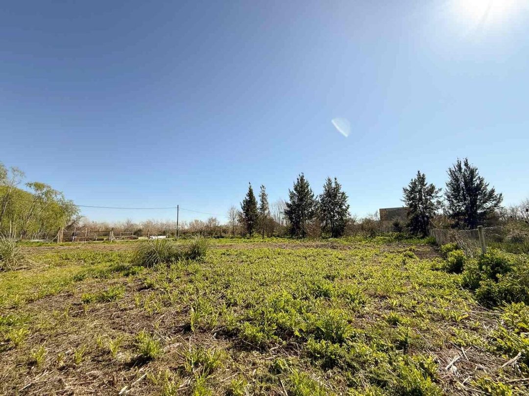 LOTE EN VENTA EN BERISSO 1.000 M2