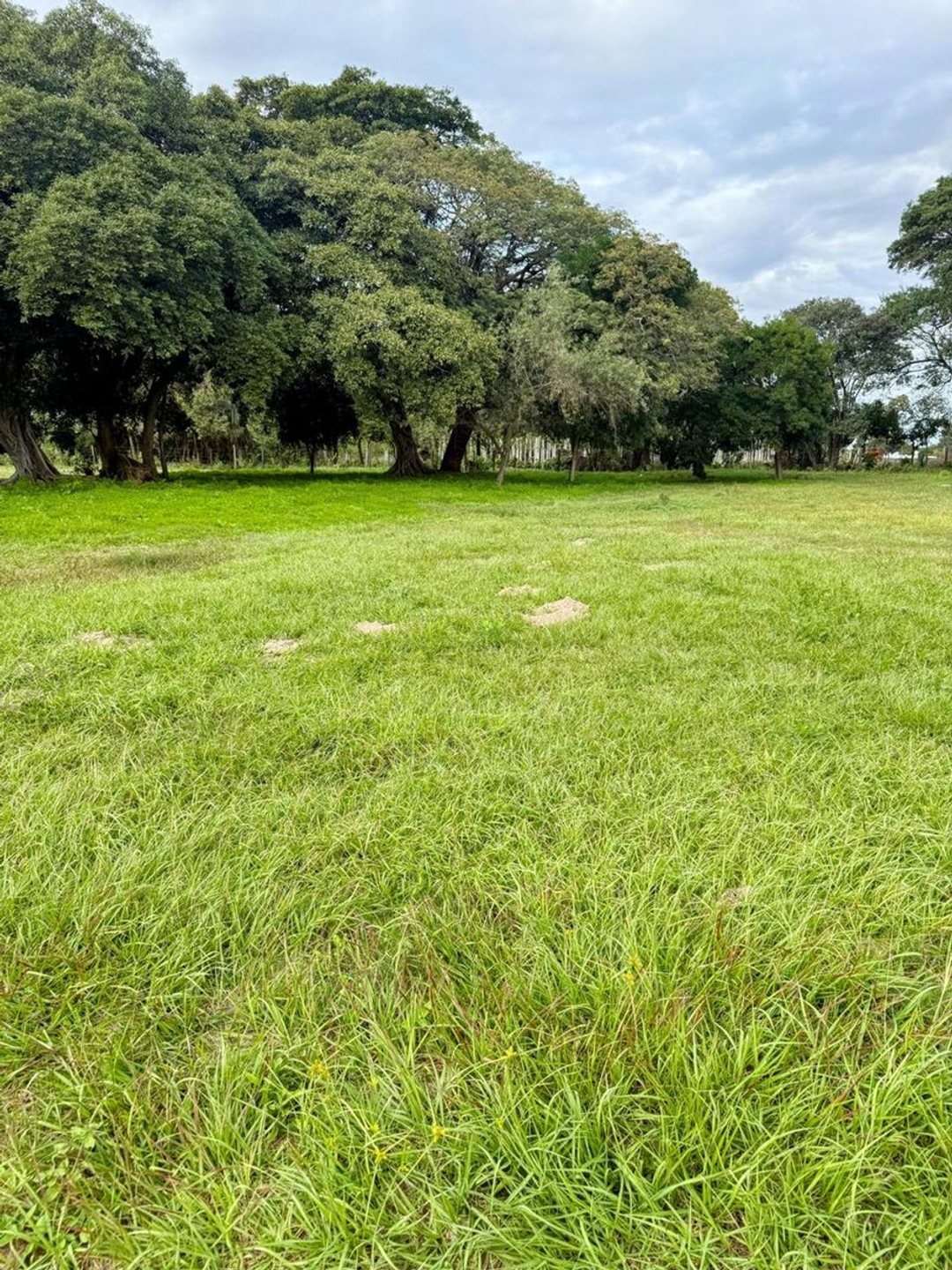 LOTE EN VENTA BARRIO PRIVADO LAGUNA VERDE